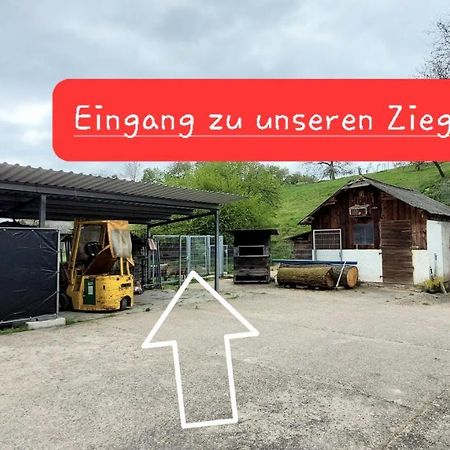 Ferienwohnung/Monteurzimmer Auf Dem Bauernhof Mörlenbach 外观 照片