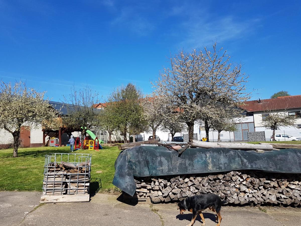 Ferienwohnung/Monteurzimmer Auf Dem Bauernhof Mörlenbach 外观 照片