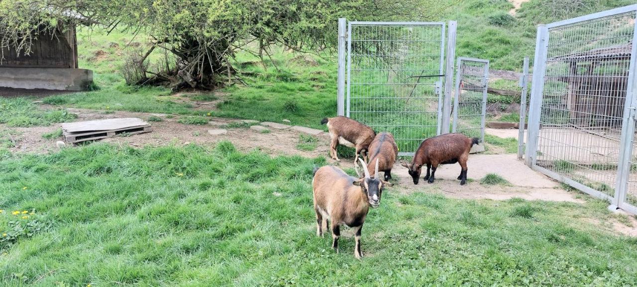 Ferienwohnung/Monteurzimmer Auf Dem Bauernhof Mörlenbach 外观 照片