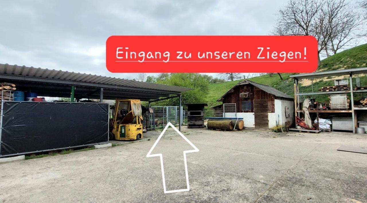 Ferienwohnung/Monteurzimmer Auf Dem Bauernhof Mörlenbach 外观 照片