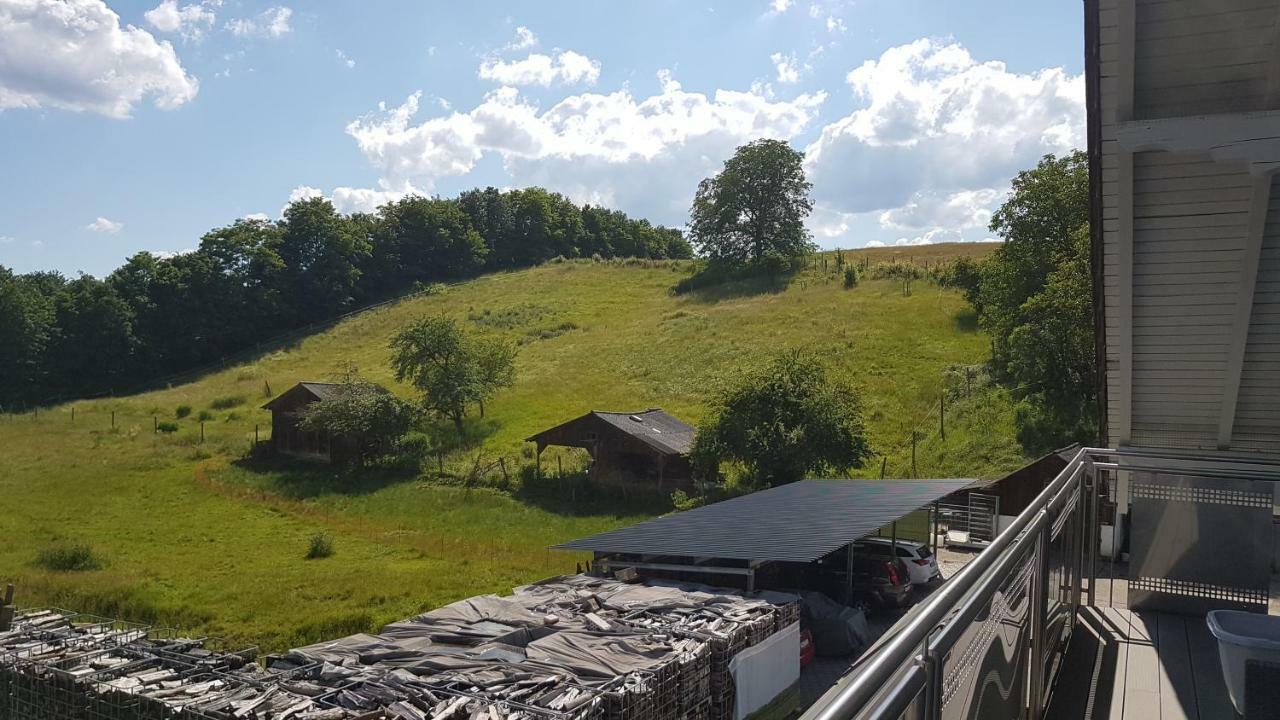 Ferienwohnung/Monteurzimmer Auf Dem Bauernhof Mörlenbach 外观 照片