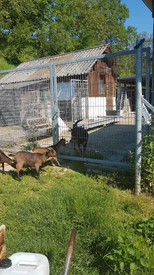 Ferienwohnung/Monteurzimmer Auf Dem Bauernhof Mörlenbach 外观 照片